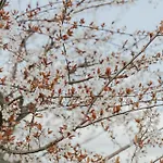 Casa vacanze Refúgio Da Cancela - Covelas (Porto)