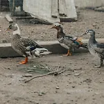 Refugio Da Cancela -