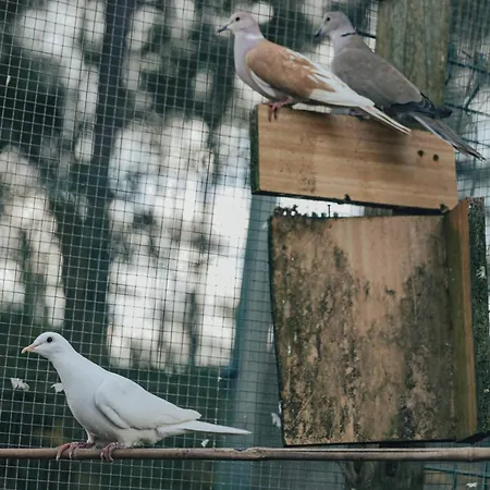 Сasa de vacaciones Refúgio Da Cancela - Arouca *