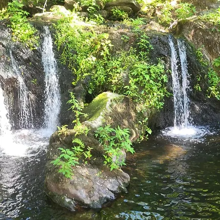 Refugio Da Cancela - Hébergement de vacances Arouca