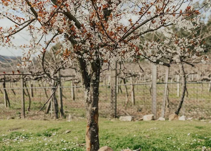 Сasa de vacaciones Refúgio Da Cancela - Arouca *