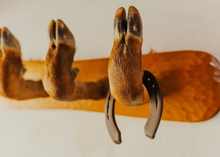 Сasa de vacaciones Refúgio Da Cancela - Arouca