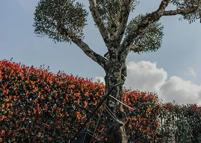 Refúgio Da Cancela - Arouca *