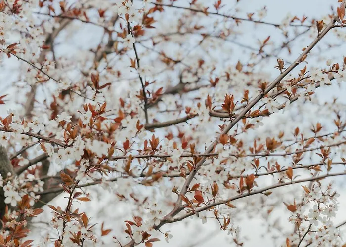 Сasa de vacaciones Refúgio Da Cancela - Arouca Covelas (Porto)