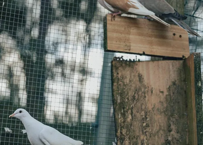 Сasa de vacaciones Refúgio Da Cancela - Arouca *