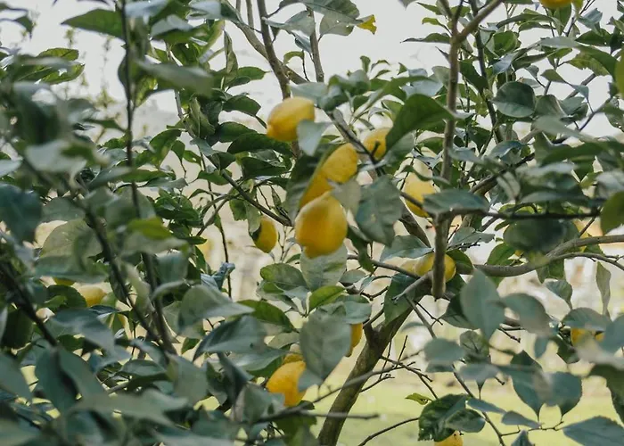 Сasa de vacaciones Refúgio Da Cancela - Arouca Covelas (Porto)