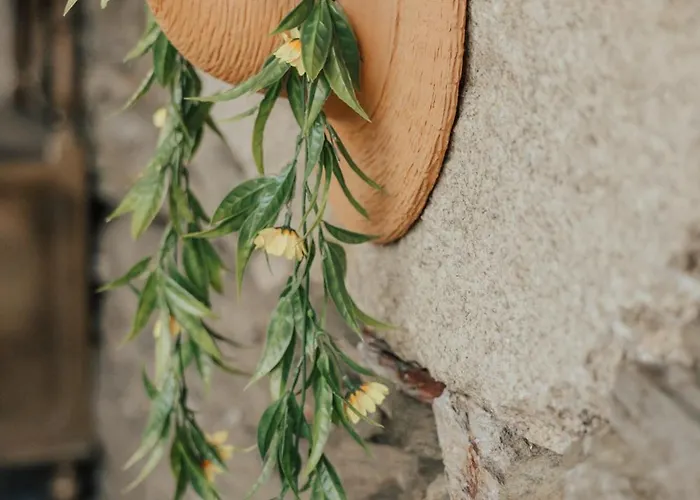 Refúgio Da Cancela - Arouca